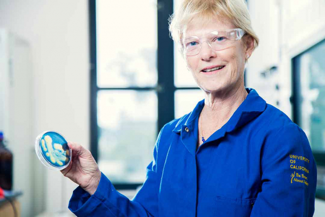 Professor Alison Butler.