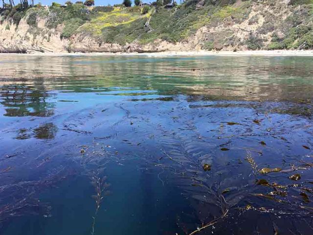 Marine Resources & Conservation