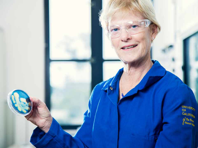 Organic Prize for Inorganic Researcher