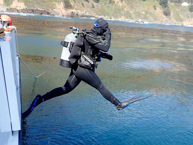 Scuba diving off the Big Sur coast. Credit: Veronika Kivenson