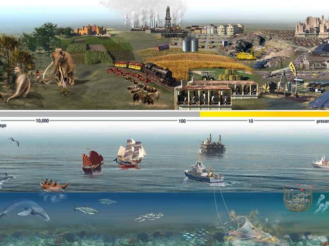 Wildlife Loss in Our Oceans