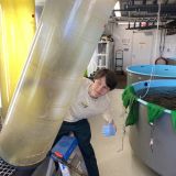 Jonah Florholmen-Bouman